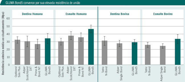 Alta resistência de união