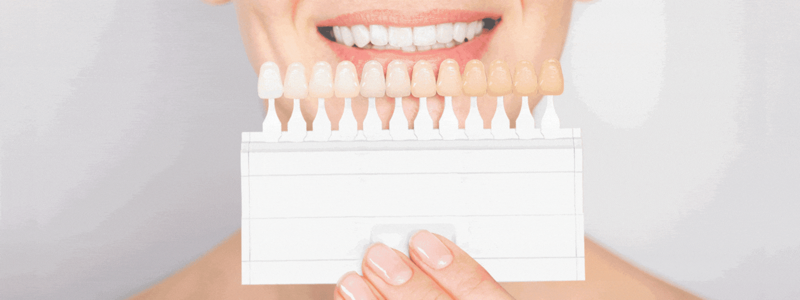 Compartilhe sua experiência com a Charisma