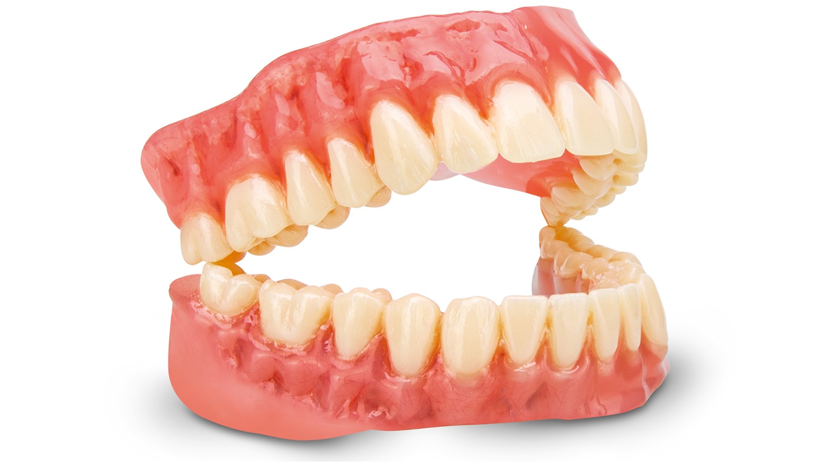 dima print Digital Denture Prótese total