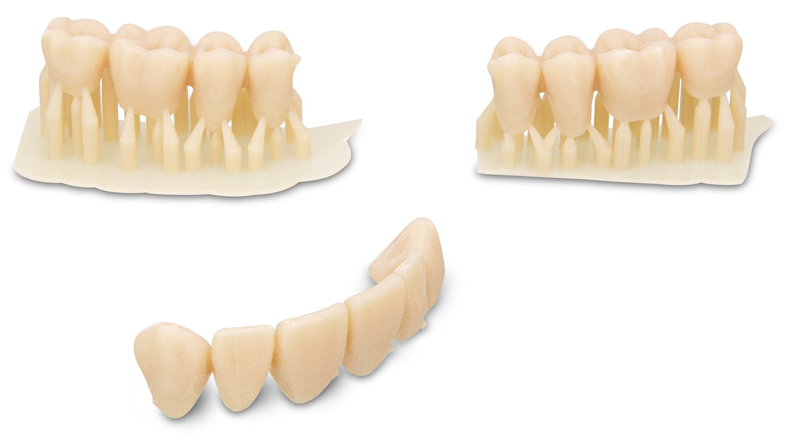 dima Print Digital Denture Teeth (com suportes)